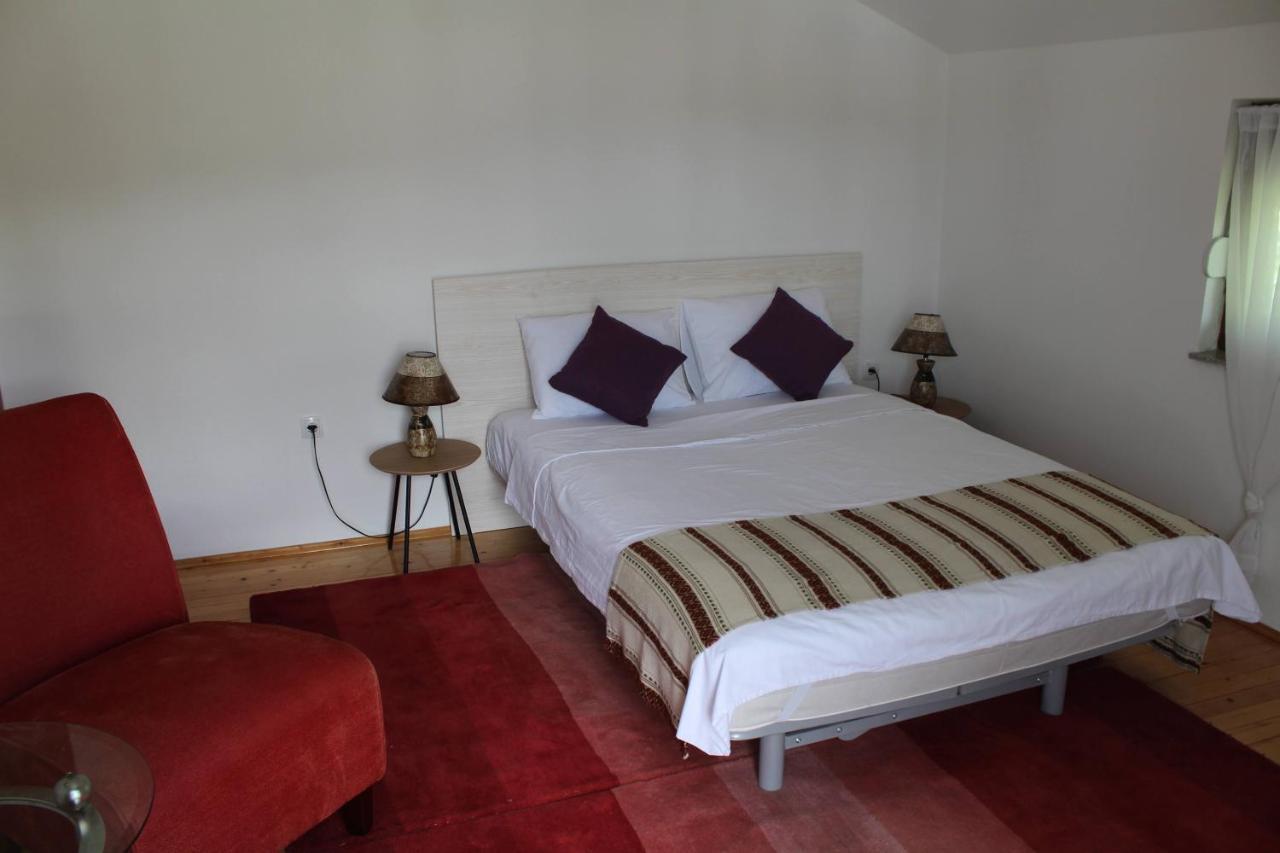 Casa Botanica Villa Blagaj Bagian luar foto