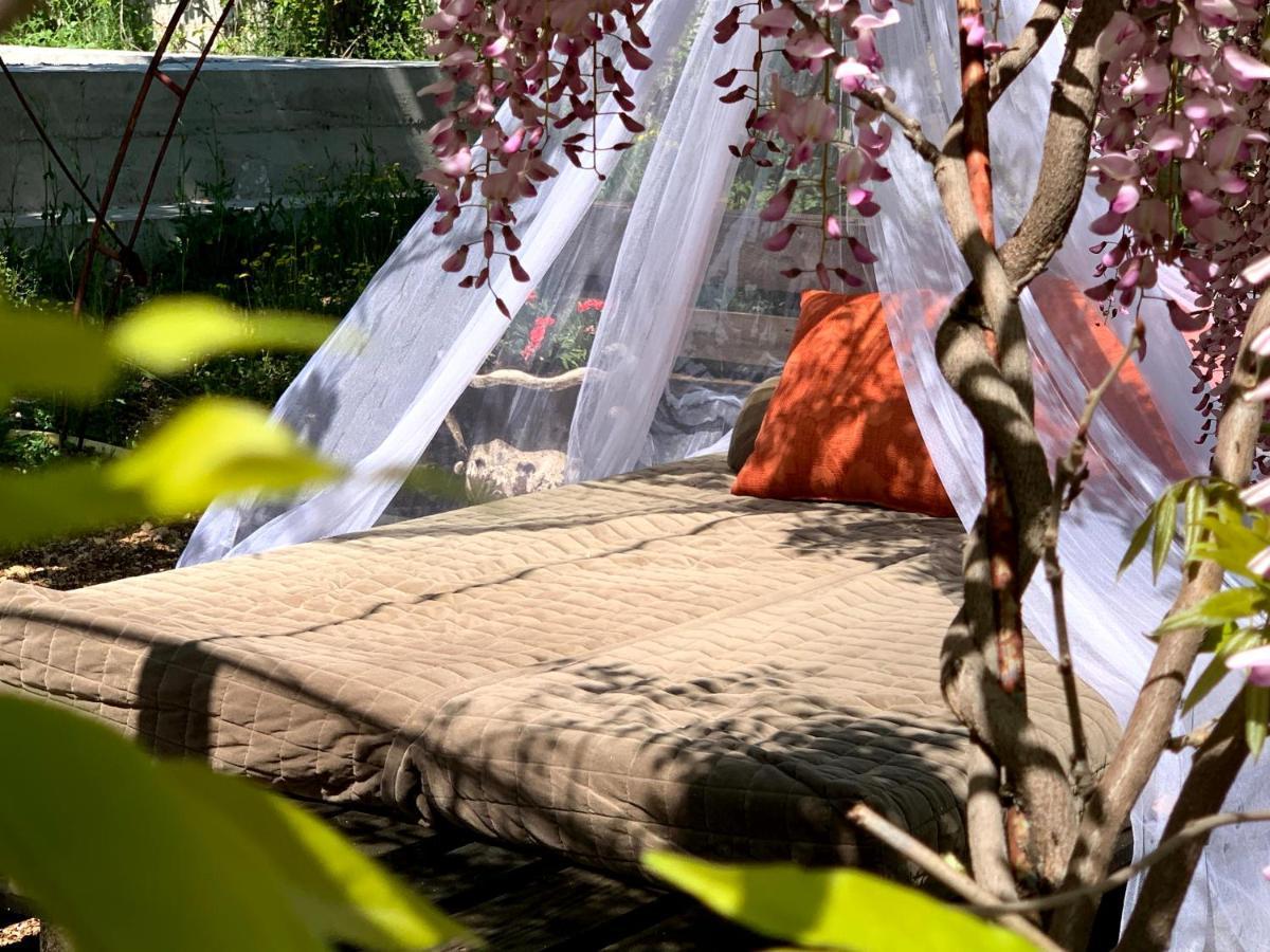Casa Botanica Villa Blagaj Bagian luar foto