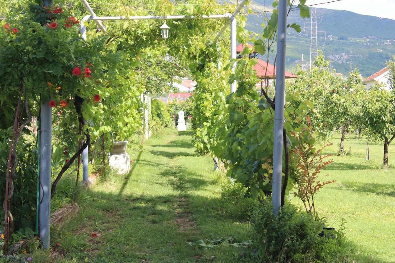 Casa Botanica Villa Blagaj Bagian luar foto
