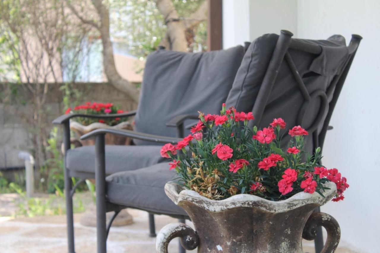 Casa Botanica Villa Blagaj Bagian luar foto