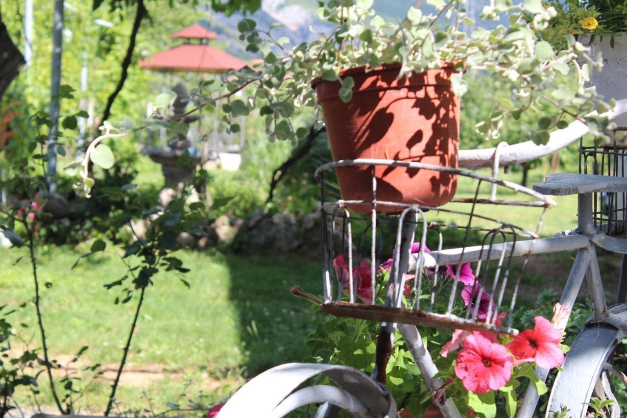 Casa Botanica Villa Blagaj Bagian luar foto