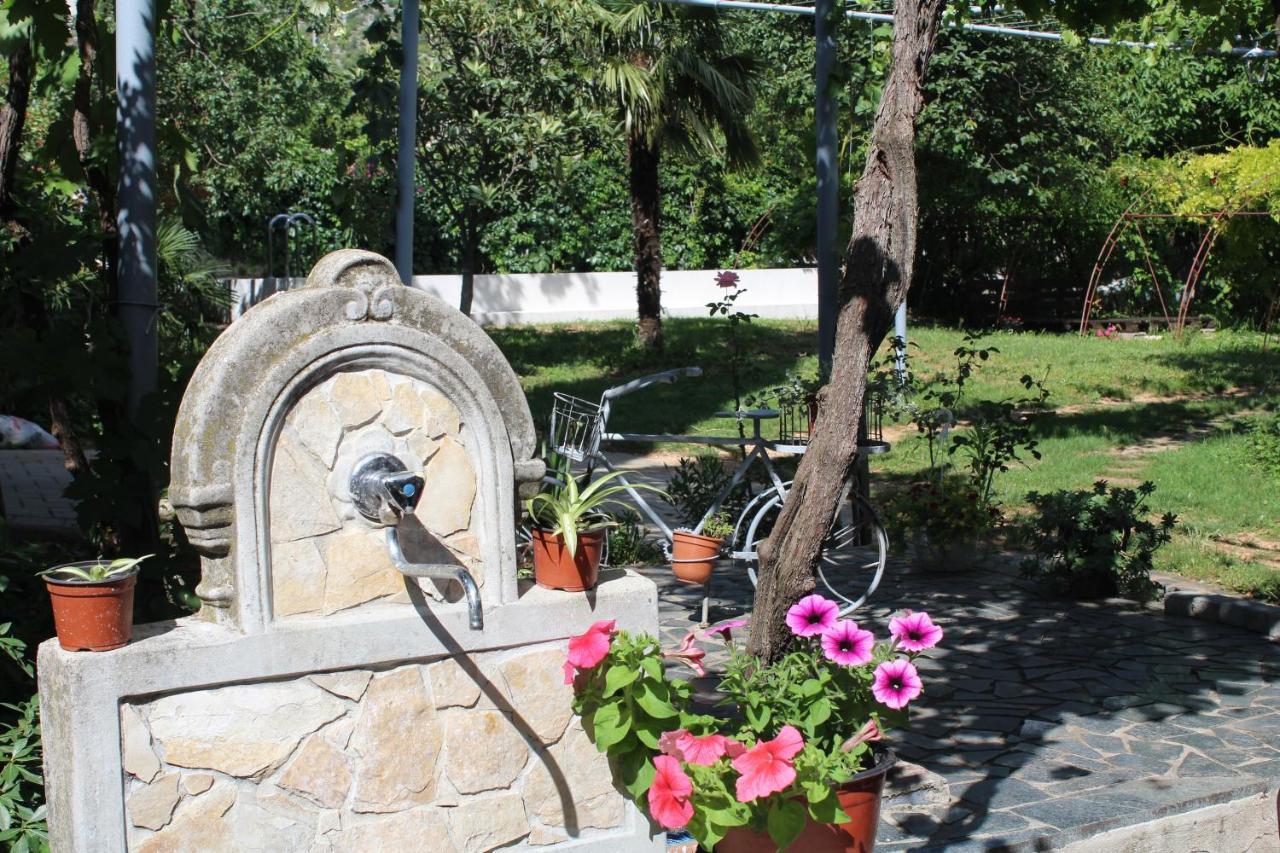 Casa Botanica Villa Blagaj Bagian luar foto